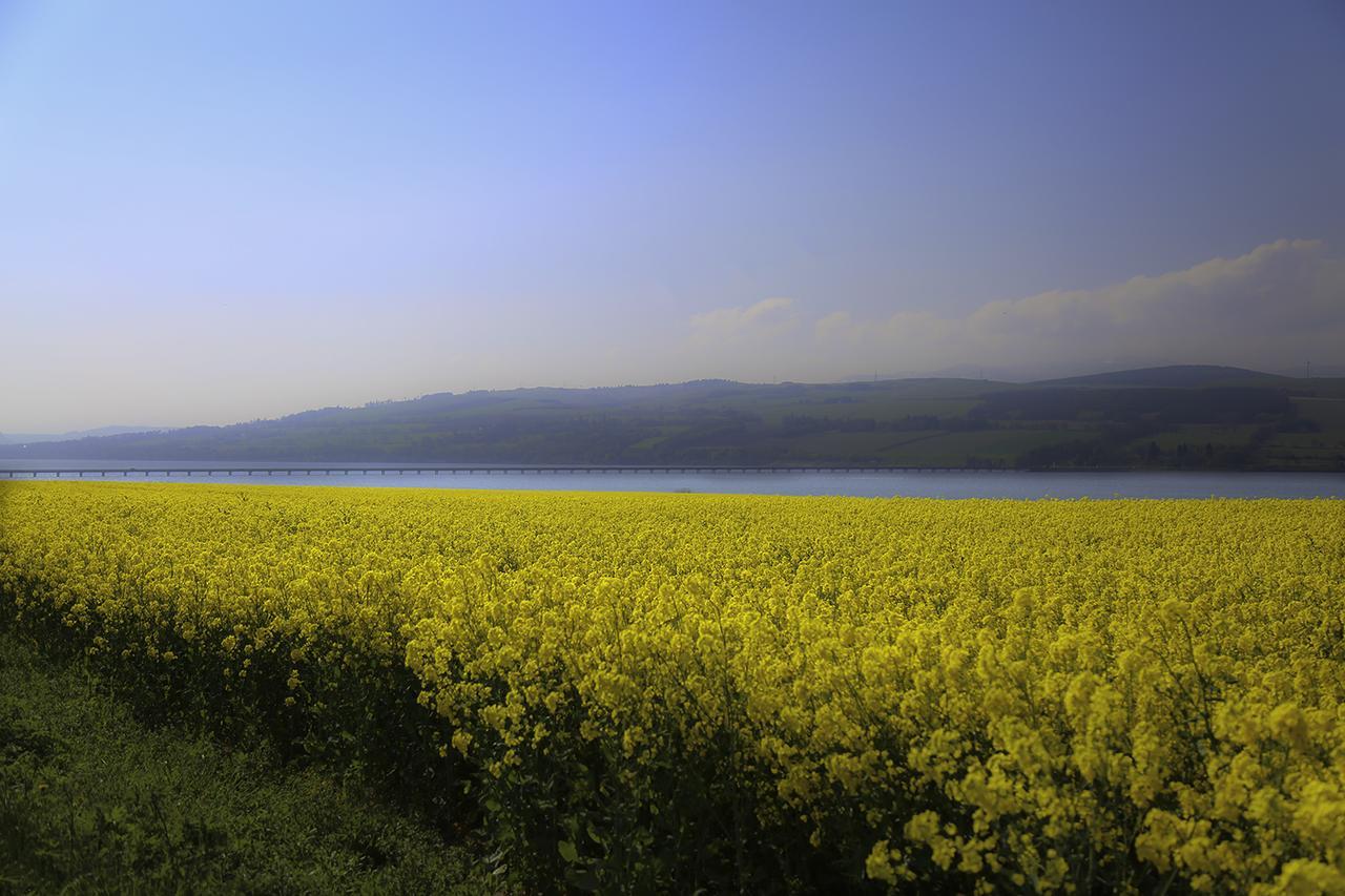 Henshire B&B Dingwall Kültér fotó